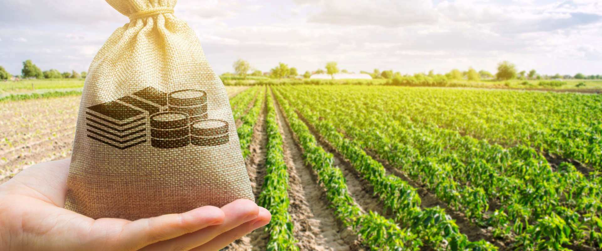 Agri Business Management MIMA